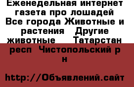 Еженедельная интернет - газета про лошадей - Все города Животные и растения » Другие животные   . Татарстан респ.,Чистопольский р-н